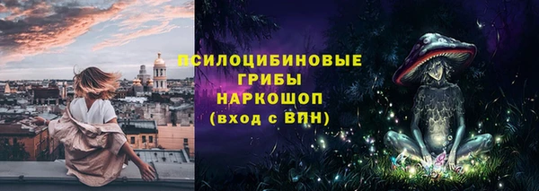 стафф Богородицк